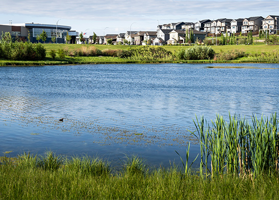 water quality retention ponds